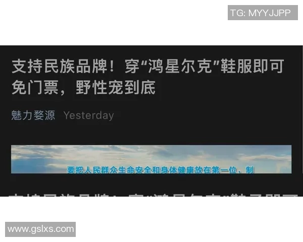 马力克的传奇旅程：从默默无闻到璀璨星辰的奋斗故事