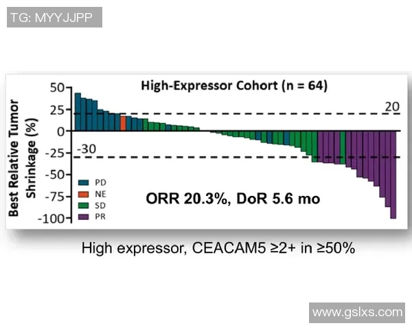 西悉尼与悉尼FC对决分析及双方近期状态评估