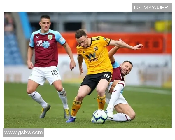 狼队与伯恩利激战正酣精彩转播全程回顾与分析 狼队与伯恩利激战正酣精彩转播全程回顾与分析