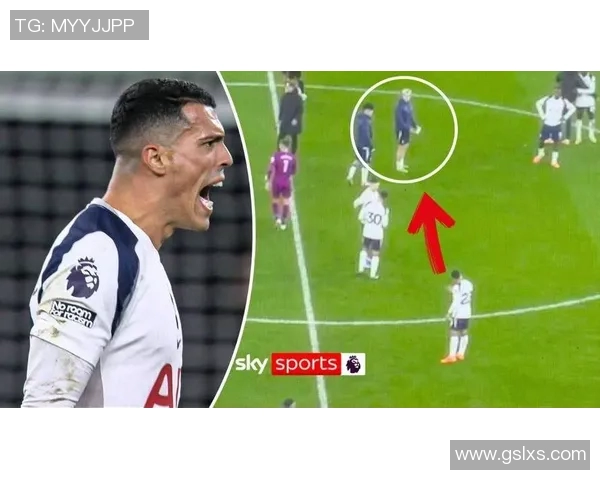 加的夫城与热刺的精彩对决比分揭晓引发球迷热议